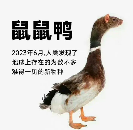 为了一个鸭脖，江西省四大巨头部门成立联合调查组