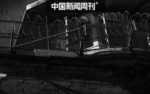 一天处分五“虎”，有何共性与特性