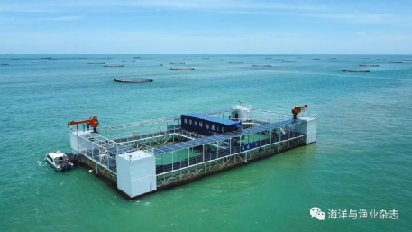 “惊涛拍岸”也是新能源？中国人要对海洋下狠手了？