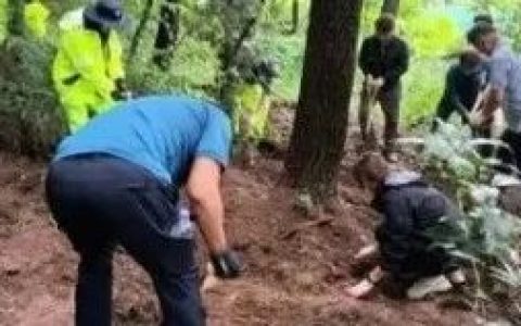 韩国“幽灵婴儿”并不稀奇，奇葩国家的必走之路！