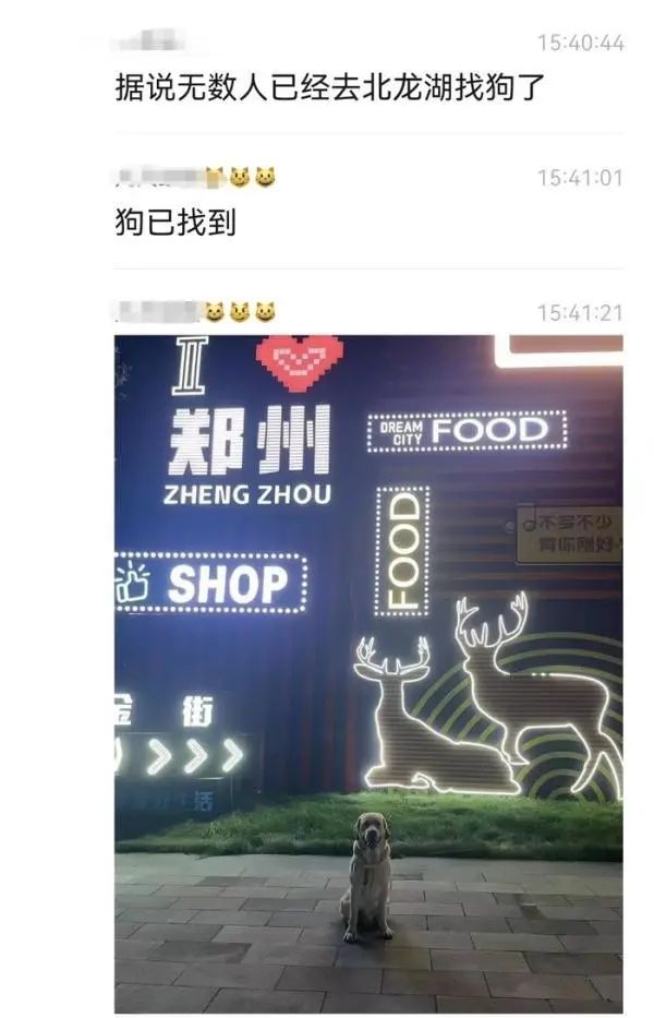 千万寻狗，双重反转，就问你受得了吗？