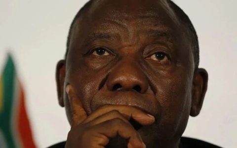 普京不来了！南非这次有些丢脸