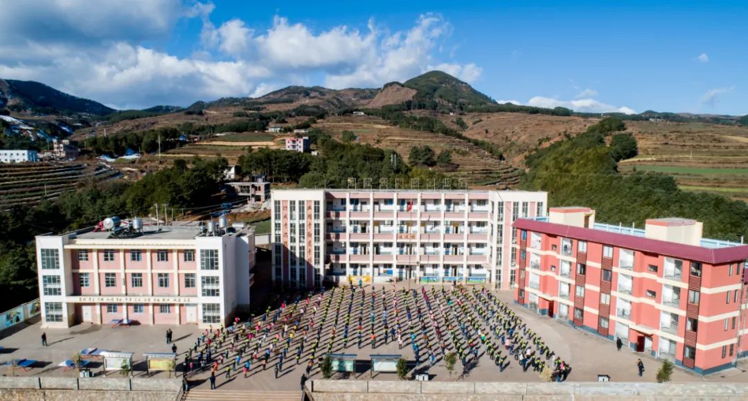 奔赴乡野的年轻人