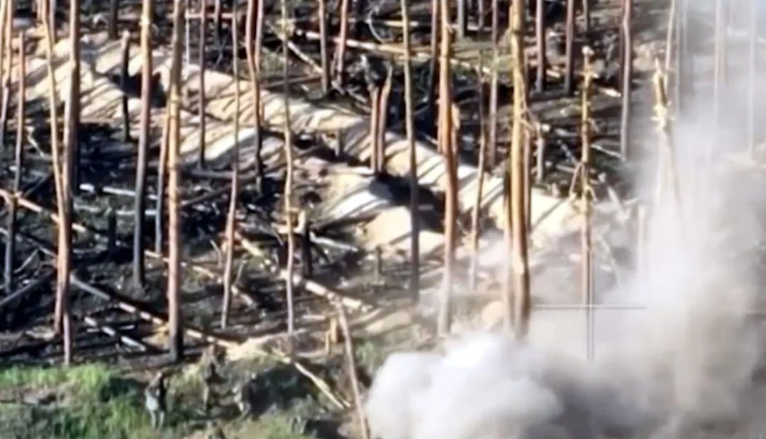 剑指红利曼？俄军战损比最好的战区，到底打的是什么仗？