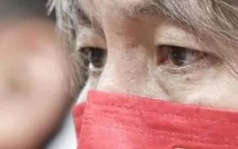 李铁被提起公诉，很可能是无期或死刑