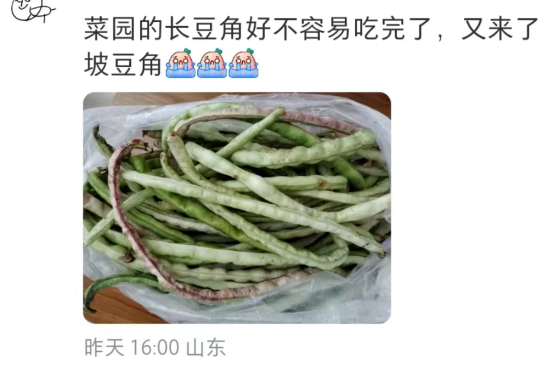 看到“山东人被豆橛子逼疯”上热搜，山河四省都沉默了