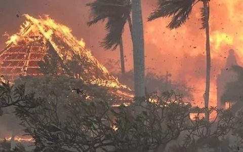 华人亲历夏威夷百年最大火灾：旅游变逃难，整个镇一片焦土！