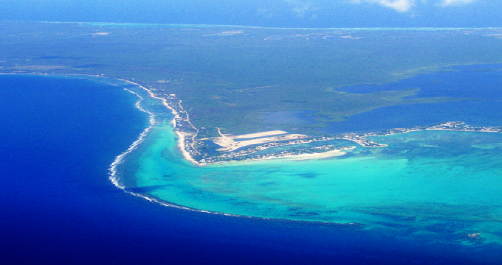 许家印最后一博！为什么恒大要在美国申请破产保护？