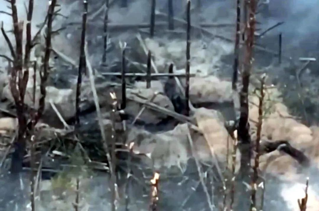 剑指红利曼？俄军战损比最好的战区，到底打的是什么仗？