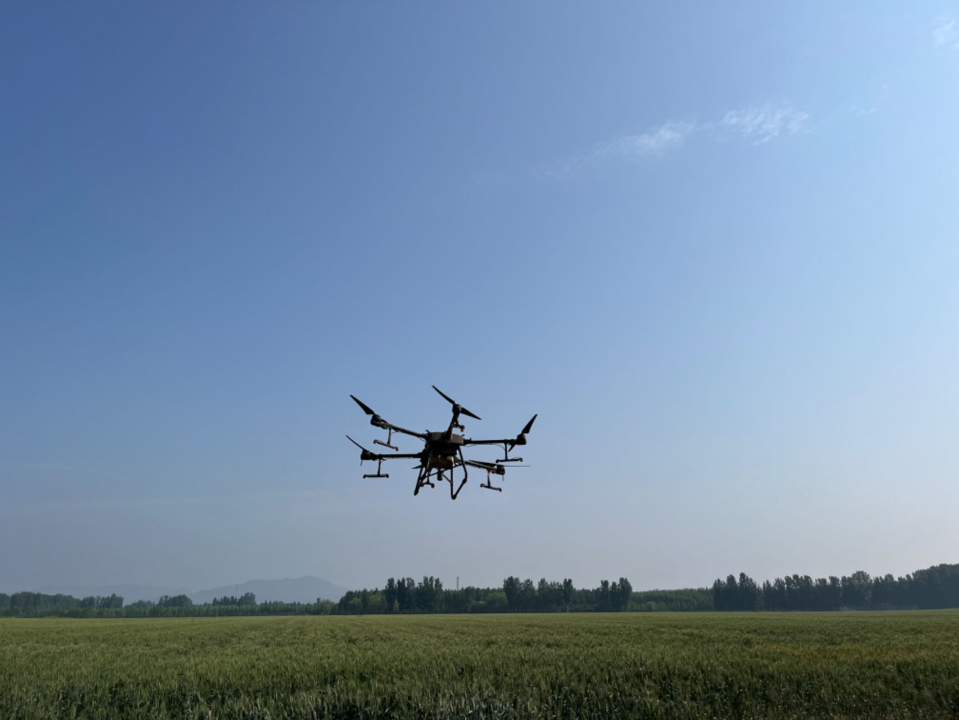 为了年入20万，我变成“害虫杀手”