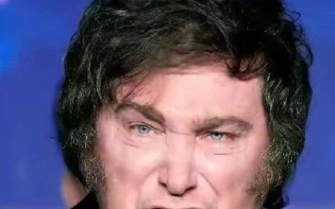 阿根廷要出“疯子”总统？背后又是这股势力