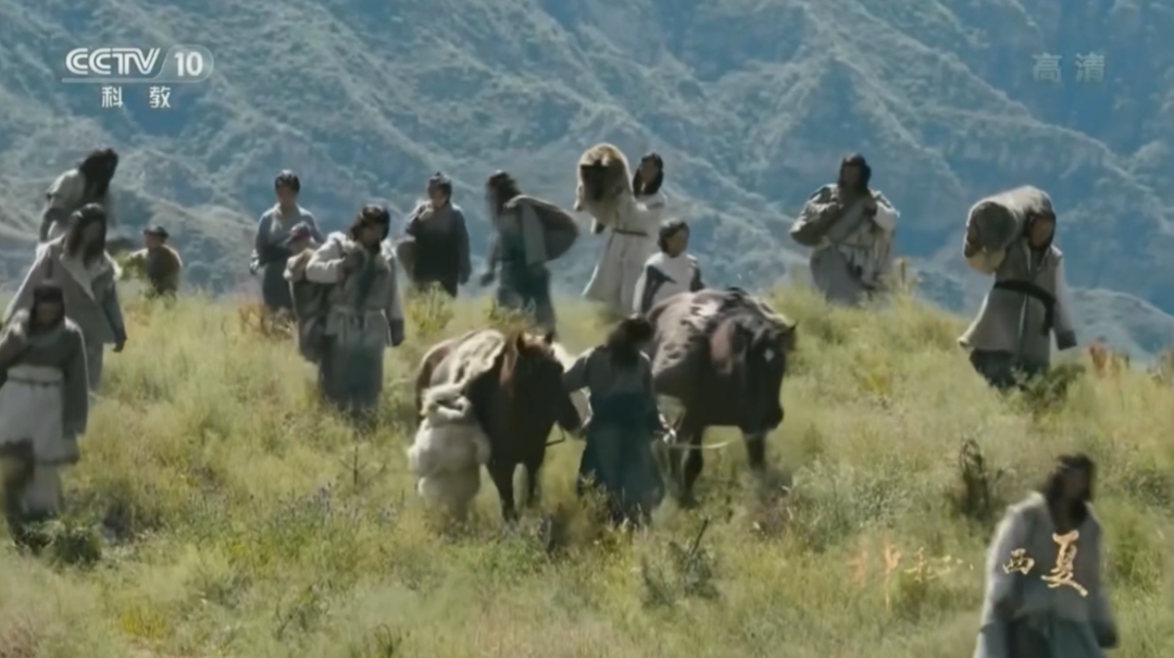 西夏建国前传：党项拓跋部从大唐藩镇崛起