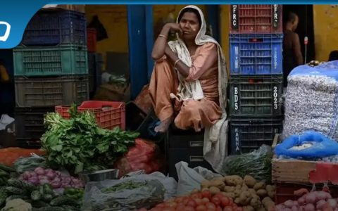 印度西红柿危机，隐藏一个农业大问题