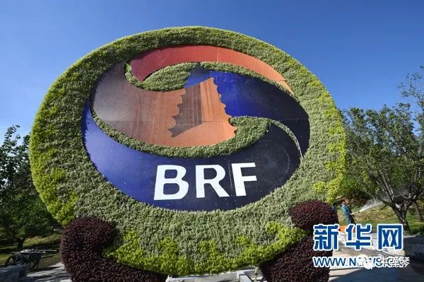 这才是我了解到的真相