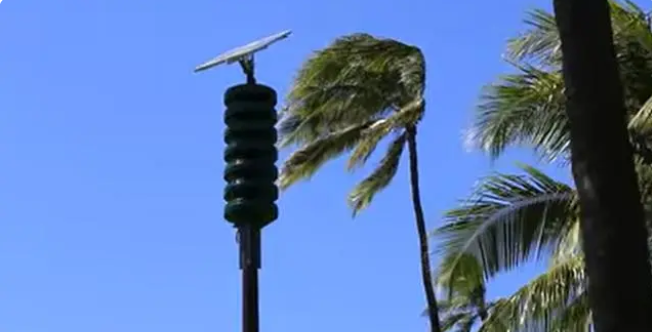 时代的一粒灰，落在了夏威夷人的身上