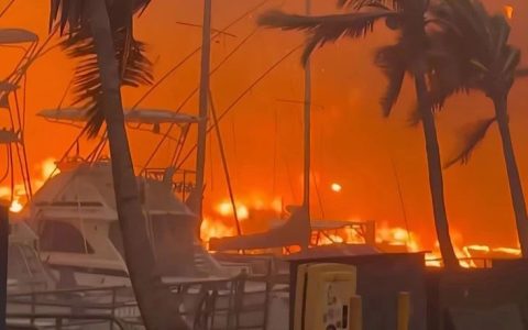 夏威夷大火，不烧富人区？