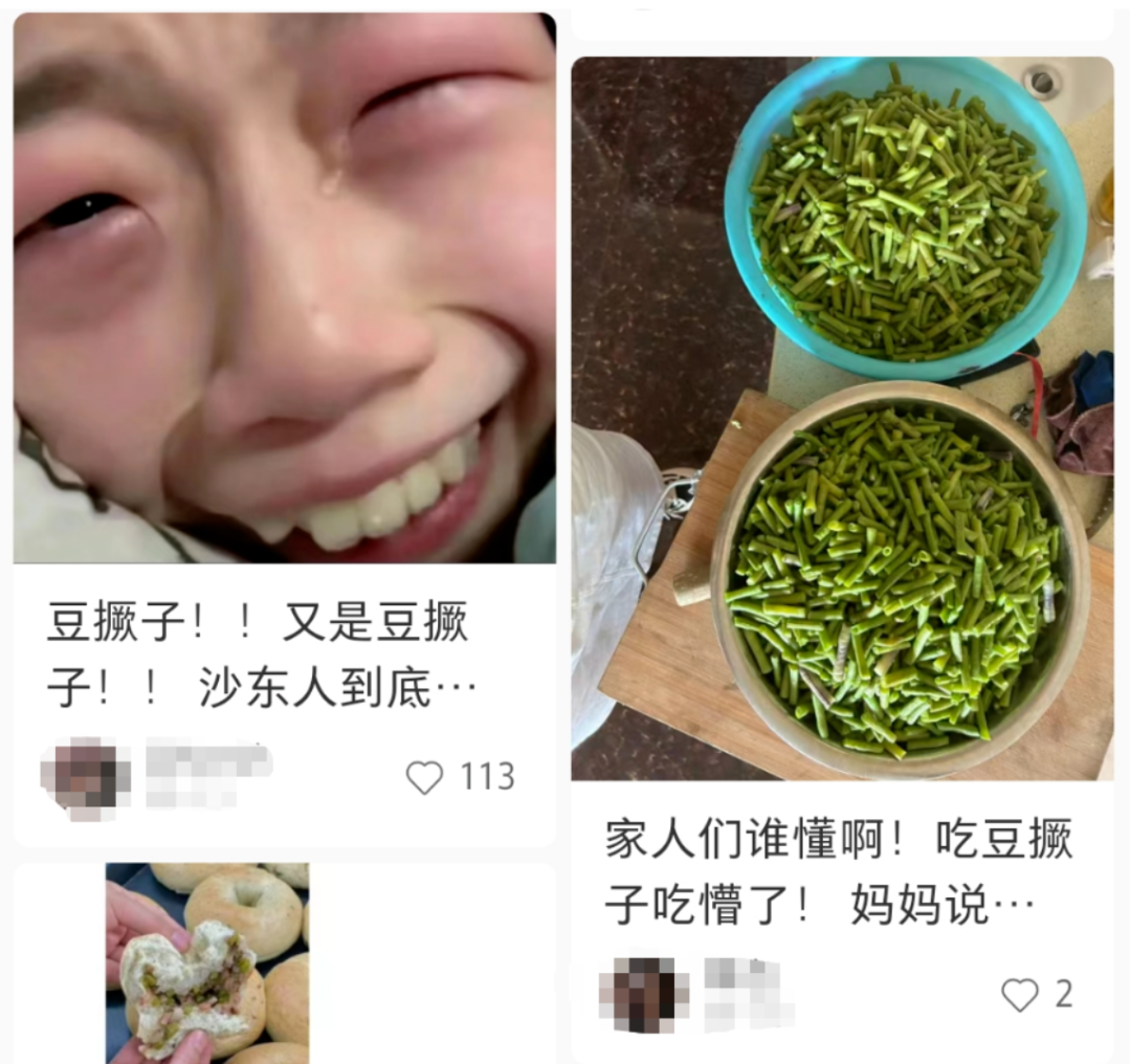看到“山东人被豆橛子逼疯”上热搜，山河四省都沉默了