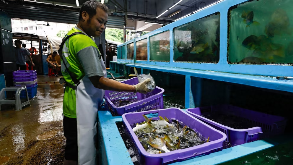 日本因为这道禁令气急败坏，说明中国做对了