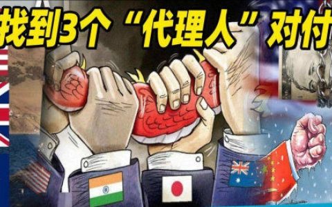 美国如何在中国培养代理人和内奸？