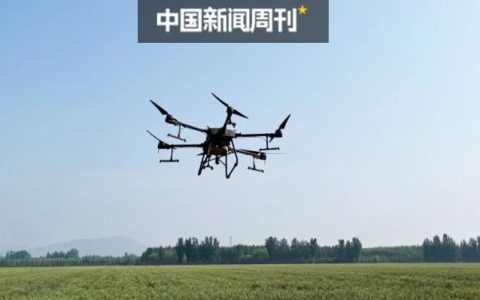 为了年入20万，我变成“害虫杀手”