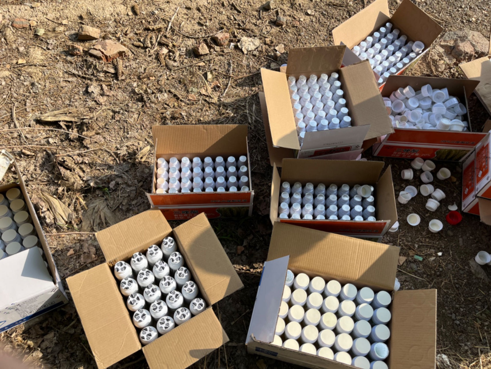 为了年入20万，我变成“害虫杀手”