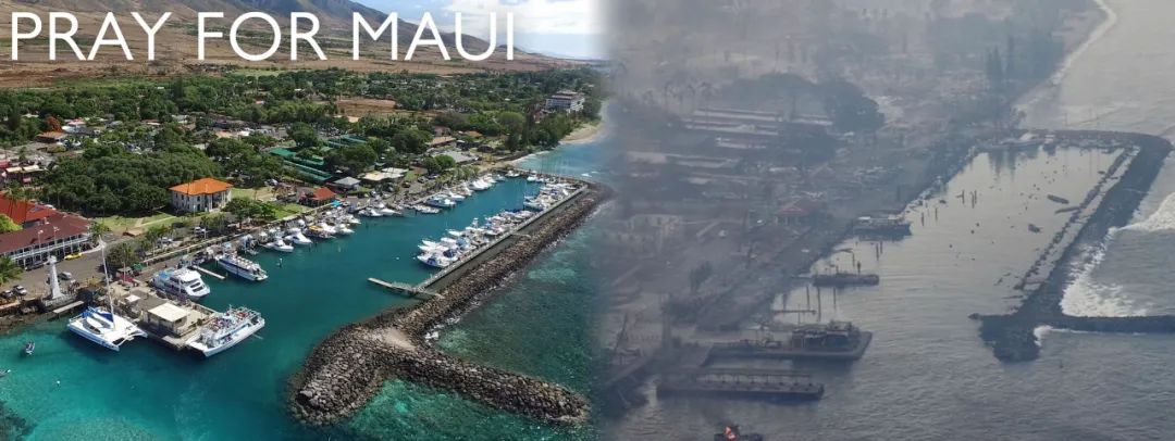 华人亲历夏威夷百年最大火灾：旅游变逃难，整个镇一片焦土！