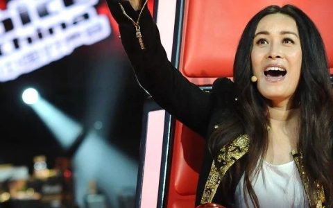 《中国好声音》的操盘手，难了