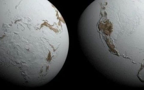 地球不需要保护，人类能熬过大灭绝就不错了