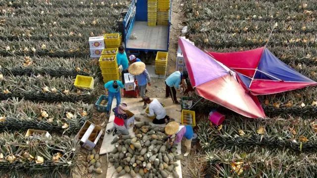 中止ECFA协定，取消惠台，对台湾经济意味着什么？