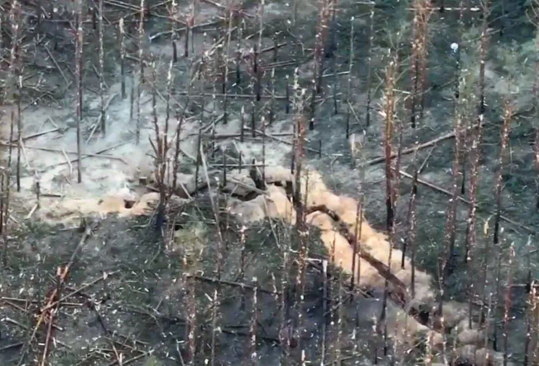 剑指红利曼？俄军战损比最好的战区，到底打的是什么仗？