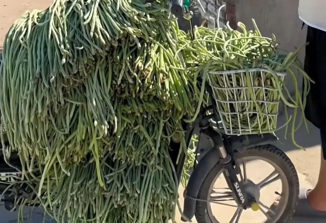 看到“山东人被豆橛子逼疯”上热搜，山河四省都沉默了