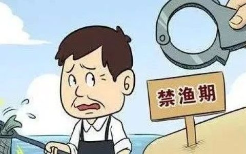 全国各地的禁渔区内，都有人在公开钓鱼