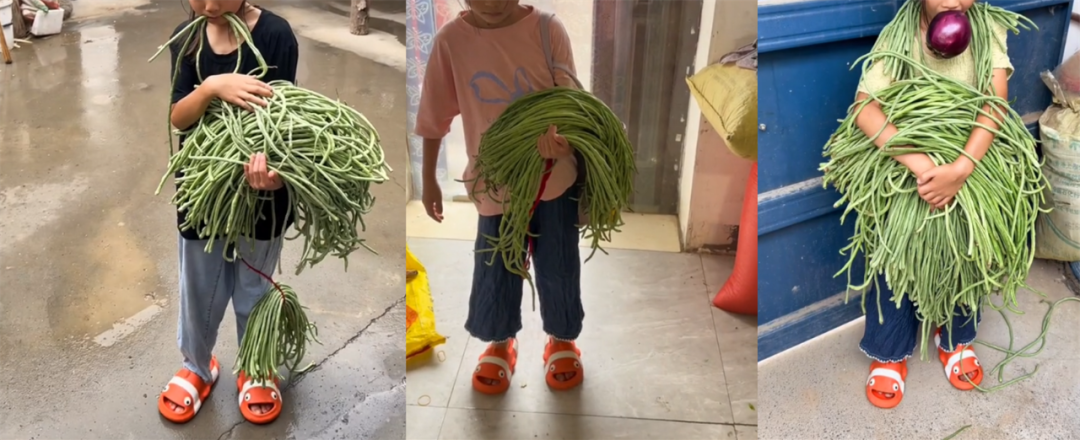 看到“山东人被豆橛子逼疯”上热搜，山河四省都沉默了