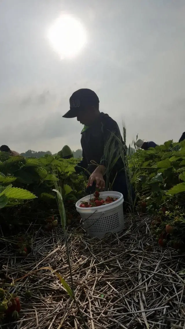 “我们没有给这些孩子他们想要的‘美国梦’，而是把他们交给了恶棍......”