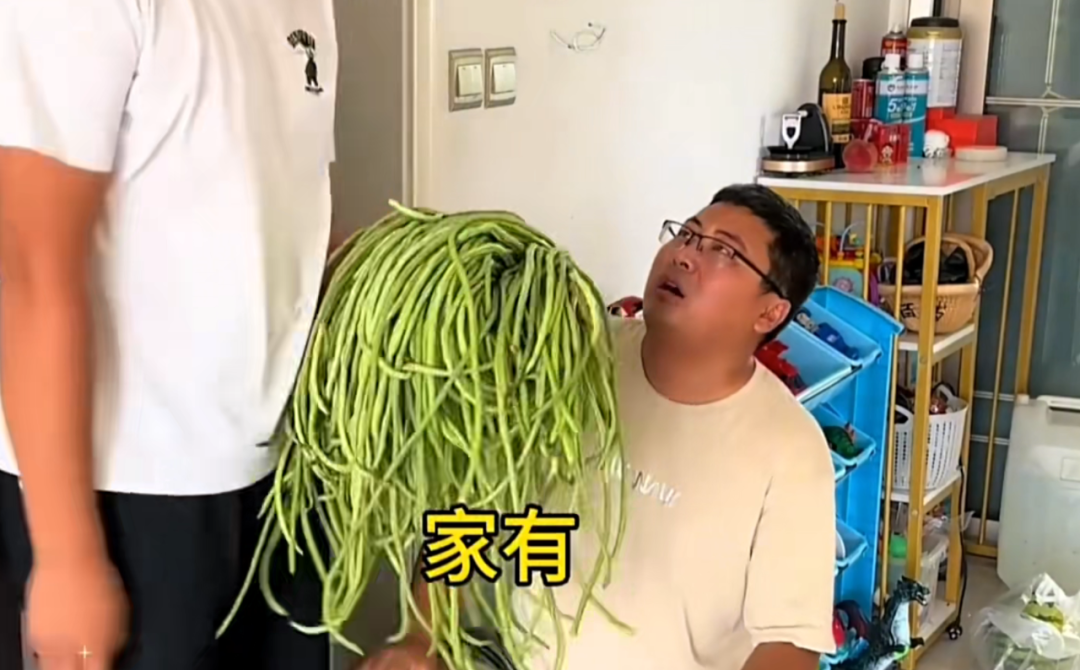 看到“山东人被豆橛子逼疯”上热搜，山河四省都沉默了