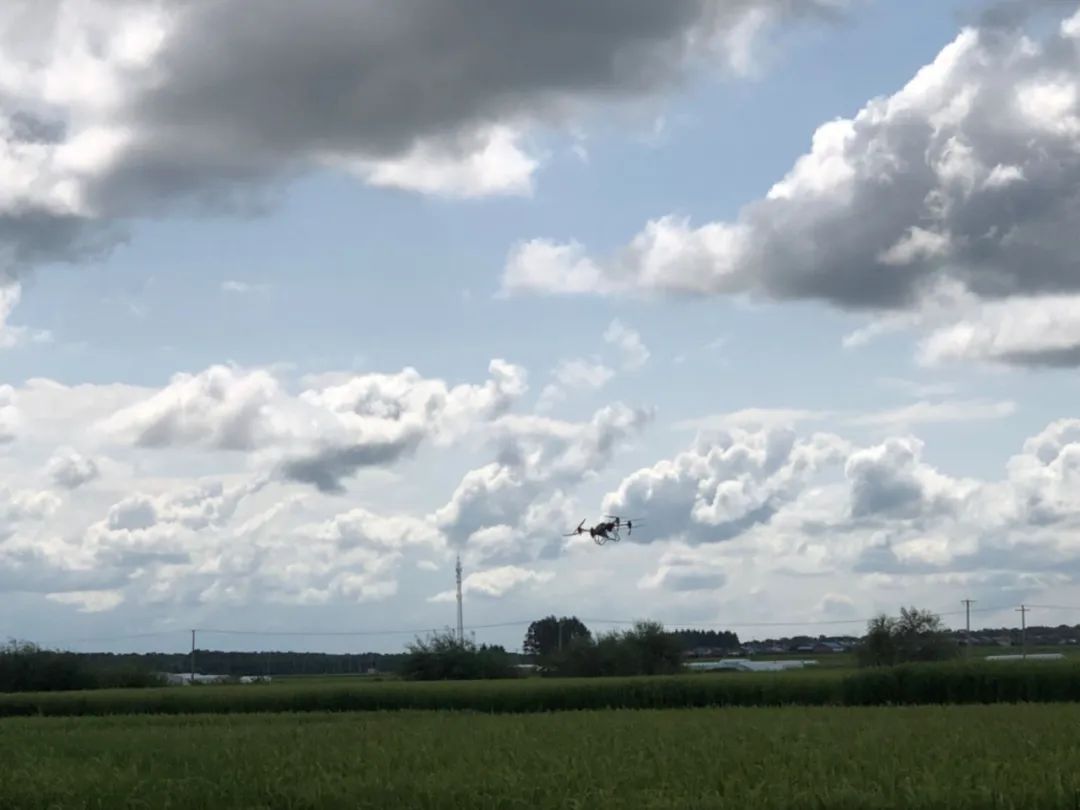 洪水退去，生活继续