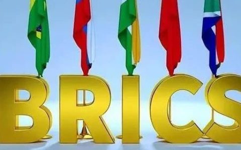 金砖国家有道坎，共同货币不靠谱？