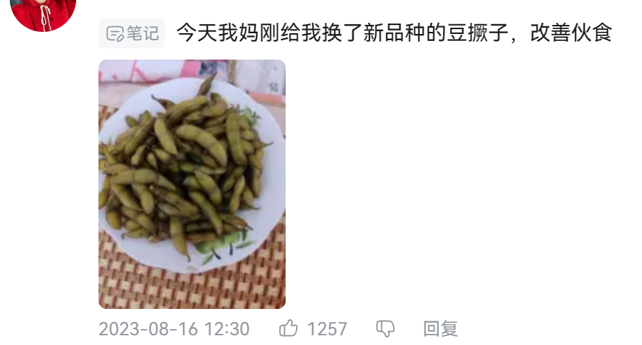看到“山东人被豆橛子逼疯”上热搜，山河四省都沉默了
