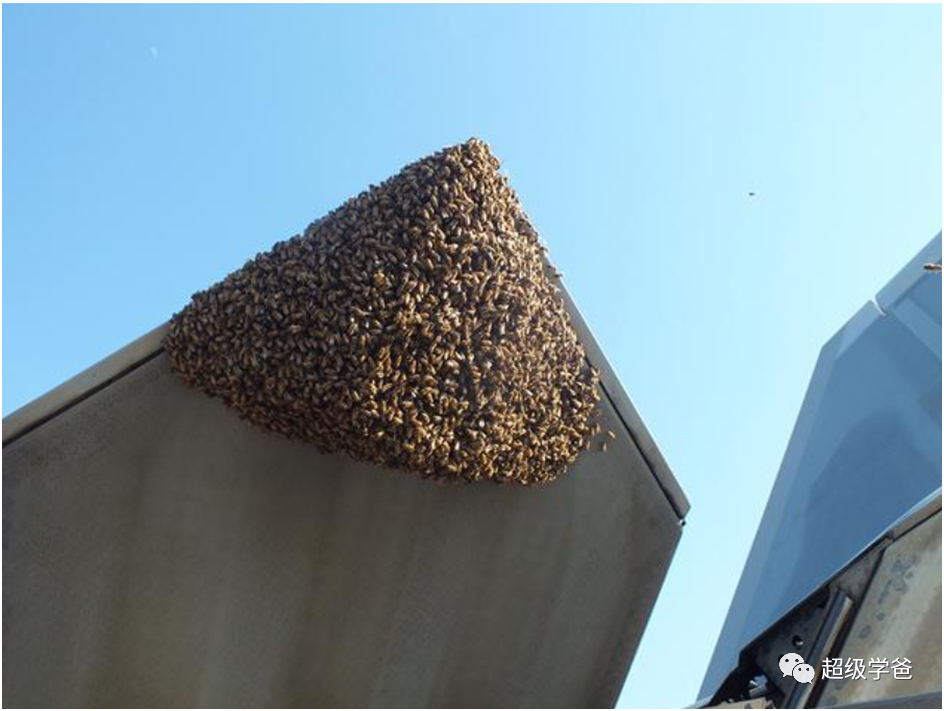 帝国末期怪事多——为了寻找隐形战机，美国竟然开始走群众路线