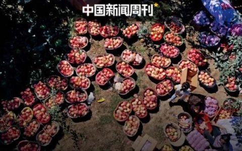 暖湿化影响下，新疆的水果会更甜吗？