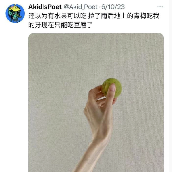 一个中国985毕业的新闻女硕士，活活饿死在了日本