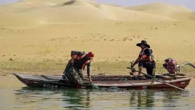 沙漠里养海鲜，新疆又干了件大事