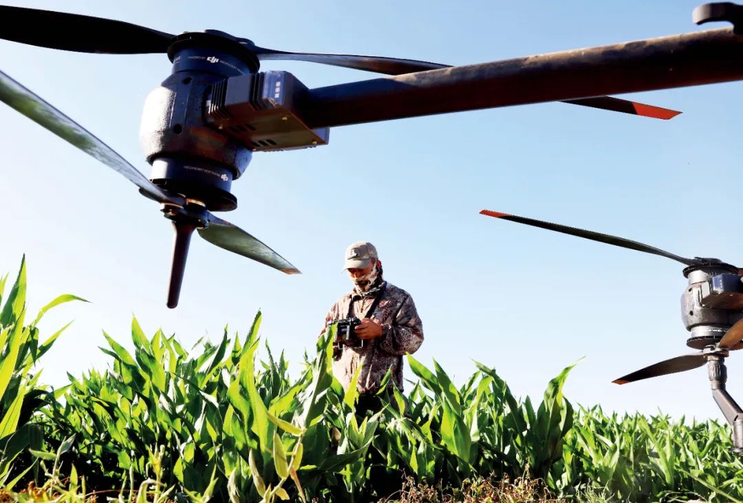 暖湿化影响下，新疆的水果会更甜吗？
