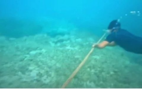 菲律宾在黄岩岛小偷小摸干什么？