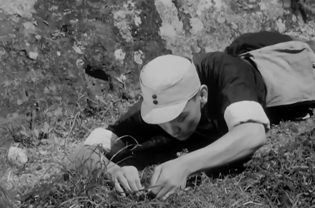 步步惊心：战场上的地雷阵有多可怕？