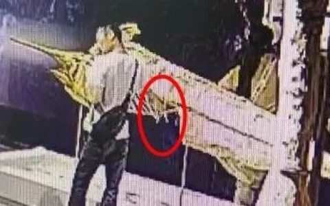 被掰断“肋骨”的古生物标本，到底价值几何？