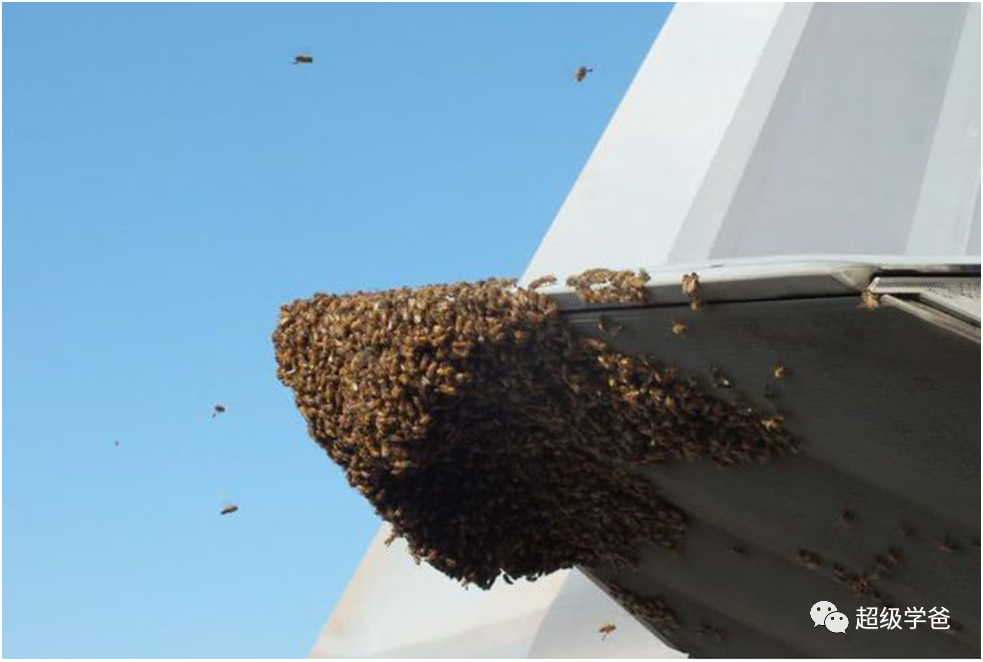 帝国末期怪事多——为了寻找隐形战机，美国竟然开始走群众路线