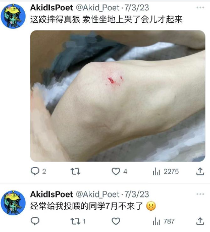 一个中国985毕业的新闻女硕士，活活饿死在了日本