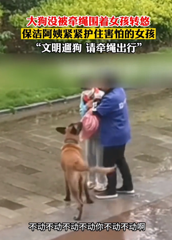 “烈性犬撕咬女童”让全网激愤，骂不拴绳没素质已经没用了