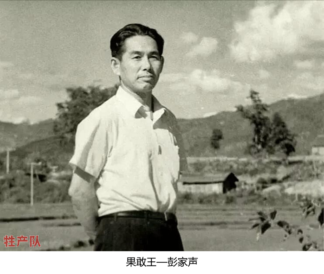 缅北内战爆发，果敢四大家族是怎么缔造“电诈王国”的？